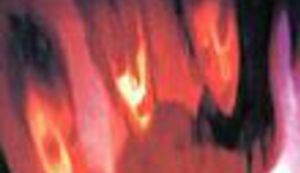 Grudi, guze, seks, sve na jednom mjestu