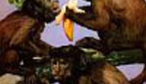 Majmuni, banana i ledena voda