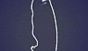 Kako je završio Bajum Badum?