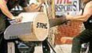 Piljevina na tapiseriji