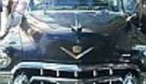 Svjetlana na Brijunima