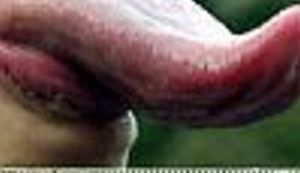 Srpskohrvatski jezik i dalje živi!