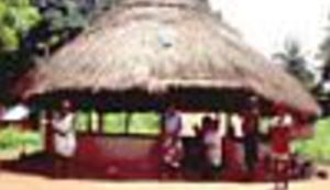 Ane će danas o seksu. Neće se falit, njet.