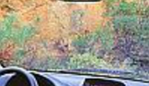 Vickaste izmjene i dopune novog Zakon o prometu i sigurnosti na cestama