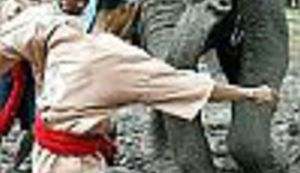 O slonovima, traktorima i zečevima u nogometu