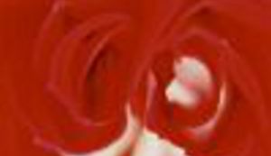 Dangsinul saranghee yo