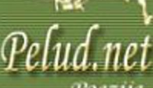 O Festivalu "Pontes '05" - Part One