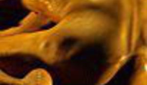 Ovoga tjedna kreće 'Queer Cooltura'