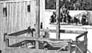 Ima li koga za linč?