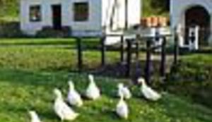 Stara Kapela za primjer