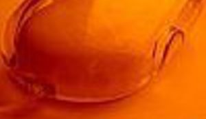 Sa svjetskog summita mladih s trećim mjestom