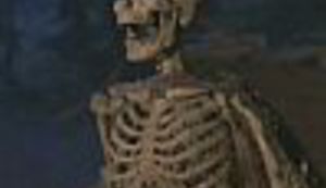 Nešto za horor-manijake