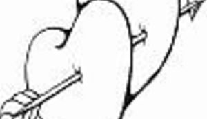 Krenuo u osvajanje pisanjem 3.000 namjenskih pjesama