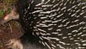 Otkriven raj na Zemlji