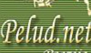 Ekškluživno!!! Javljanje uživo s osnivačke skupštine Udruge Pelud.net