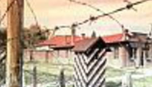 Dok se ne utvrdi istinitost optužbi o silovanju, Vukojeviću prijeti suspenzija