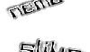 Jedna bosanska priča