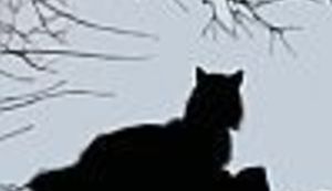 'Anarhistička farma' na webu