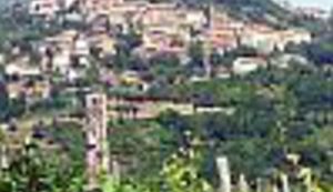 Peticija za Motovunsku šumu