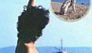 Naše razglednice: Enti pasa dalmatinca!