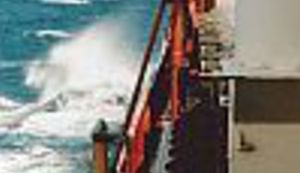 Najavljujemo: Octopus u Sevastopolu