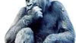 Za razbibrigu: Mislite da ste pametni?