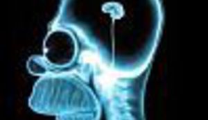 Palindromi na hrvatskom: 'Ana voli Milovana', a 'Anja voli milovanja'