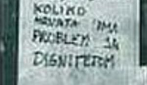 Genijalni um renomiranog hrvatskog pisca