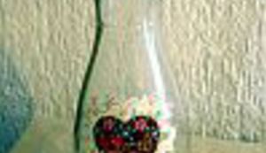 Kako se u općoj tabloidizaciji medija postaje zvijezda - 1,6 litara gemišta u 17,2 sekunde