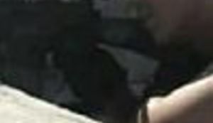 Busheva vojska iz sjene