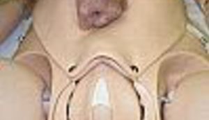 FOTO: Praktikum za ginekologe