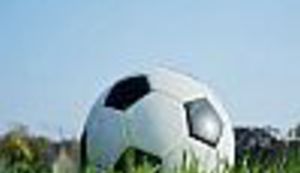 Hrvatska nogometna ljiga