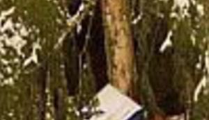 Zagrepčani pod borom na božićno jutro dobili, da prostite, govno