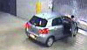 Čudo od vozača i Homo sapiens erectusa