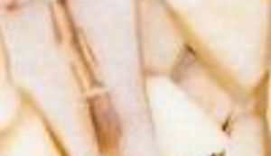 Pastroka našla Isusa Krista u krumpiru