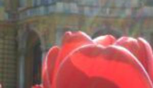 Prvi maj-praznik slobodnih udaraca palicom