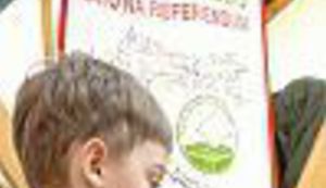 Stavi NATO na referendum