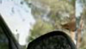 'Kako mi je leptir uništio kuću'