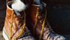 Booksom protiv džigere