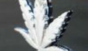 Kad voliš marihuanu ...