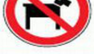 Jarunski spasioci nogirali terapijskog psa