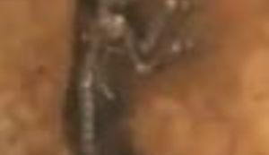 Upoznajte Idu, daleku rođakinju iz Njemačke