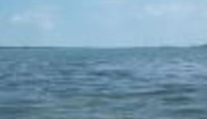 FOTO: Dravom u kajacima od izvora do ušća