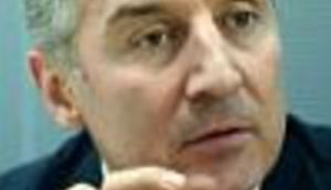 Imao se rašta i roditi