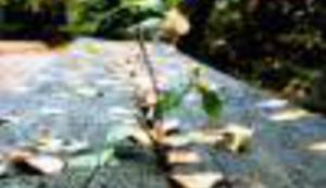 FOTO: detalji koje smo prestali primjećivati