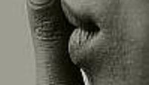 VRATILO SE DOBA TUĐMANOVIH JEZIKOSLOVACA: Što kada Hrvat ne razumije srpski?