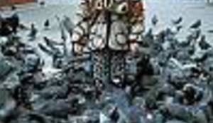 PTICE SMETALICE: Zašto se i Hrvatska uključuje u otkrivanje masovnog ptičjeg pomora