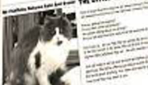 SUŠI I SAŠIMI U PR KATASTROFI GODINE: Koja tri "debila"!