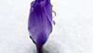 U SURADNJI S PRIRODOM: Kad se sreća osmjehne fotografu