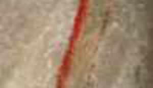 POTRESNO SVJEDOČANSTVO: Gleda me pravo u oči, izgleda kao kip, nestvarno, ali pogled mu je živ